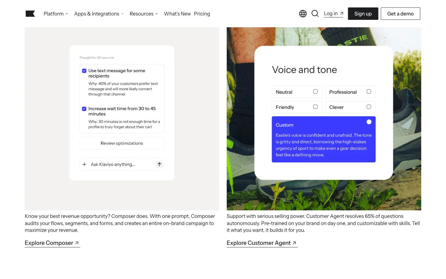 Klaviyo website: product/features section